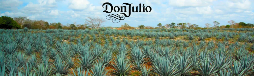 don julio reposado